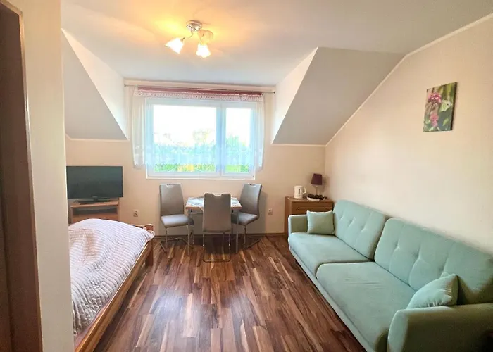 Dominik 2 Гостевой дом Ястарня